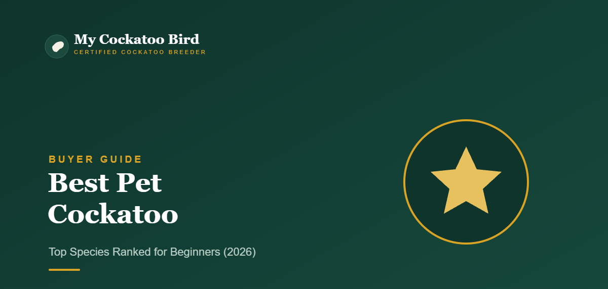 Best Pet Cockatoo: Top Species Ranked for Beginners (2026) — My Cockatoo Bird