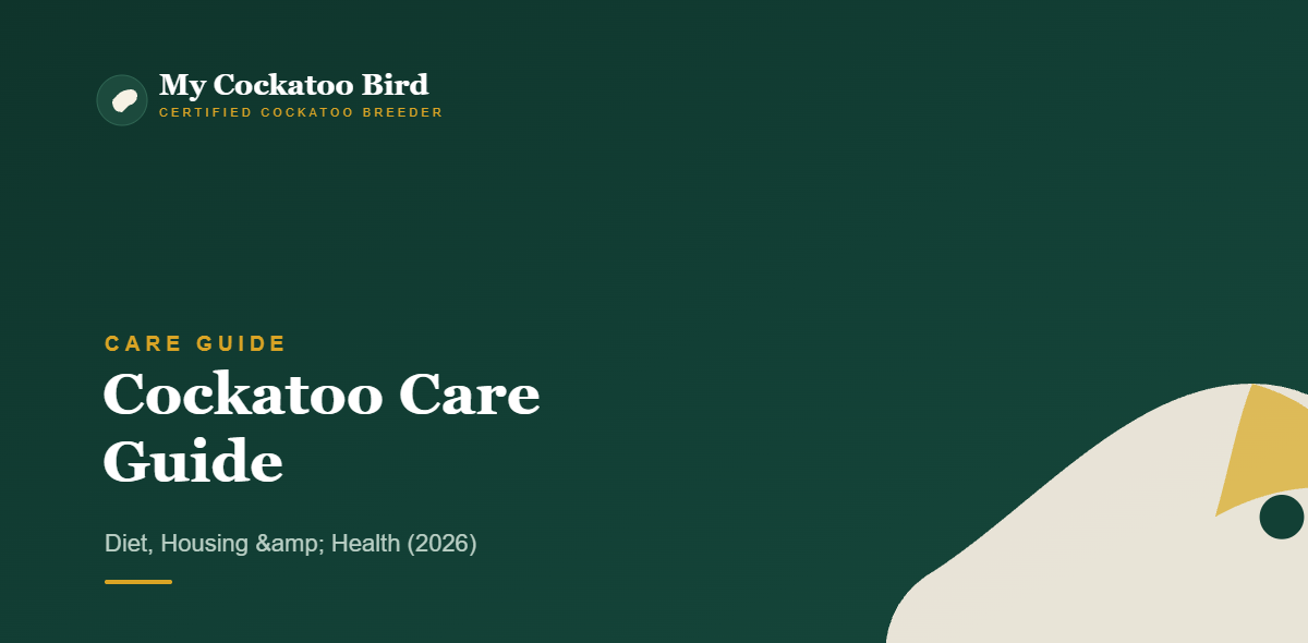 Cockatoo Care Guide: Diet, Housing & Health (2026) — My Cockatoo Bird