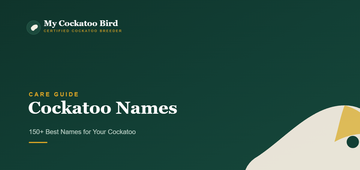 Cockatoo Names: 150+ Best Names for Your Cockatoo — My Cockatoo Bird