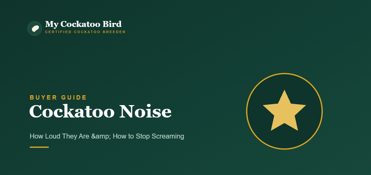 Cockatoo Noise: How Loud They Are & How to Stop Screaming — My Cockatoo Bird