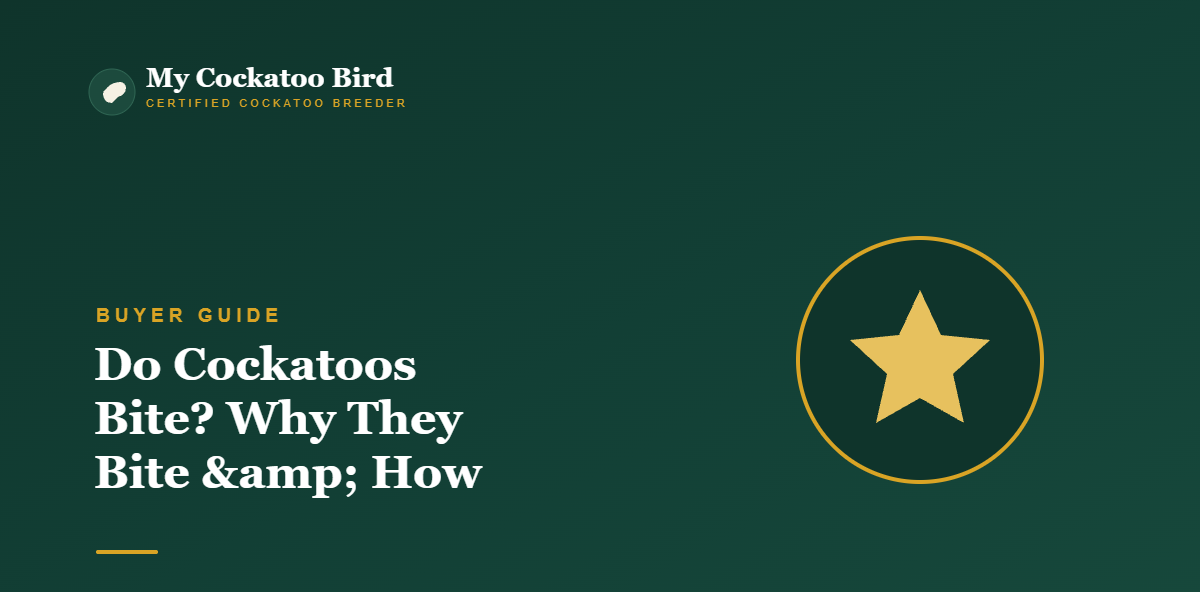 Do Cockatoos Bite? Why They Bite & How to Stop It — My Cockatoo Bird