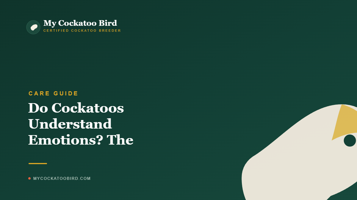 Do Cockatoos Understand Emotions? The Science Explained — My Cockatoo Bird
