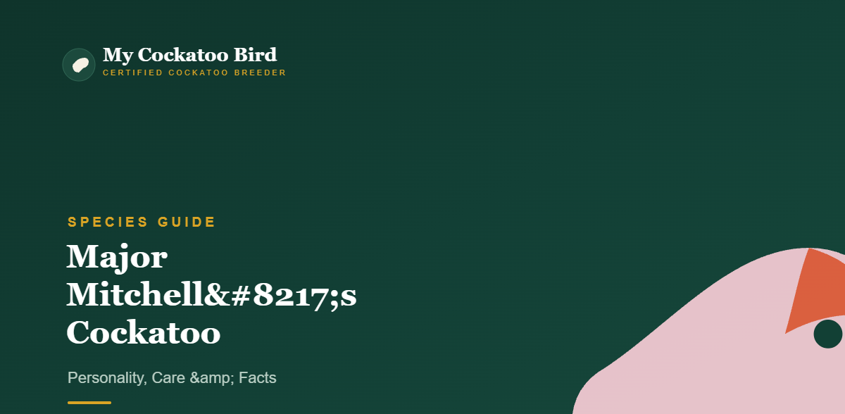 Major Mitchell’s Cockatoo: Personality, Care & Facts — My Cockatoo Bird