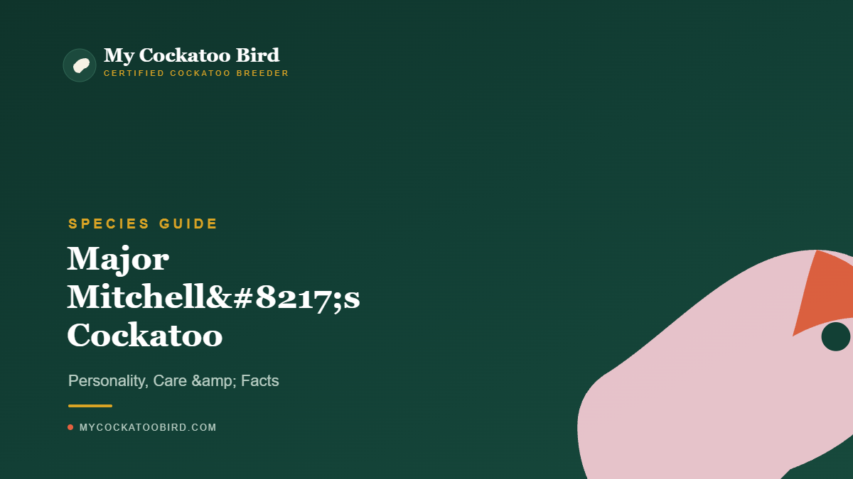 Major Mitchell’s Cockatoo: Personality, Care & Facts — My Cockatoo Bird