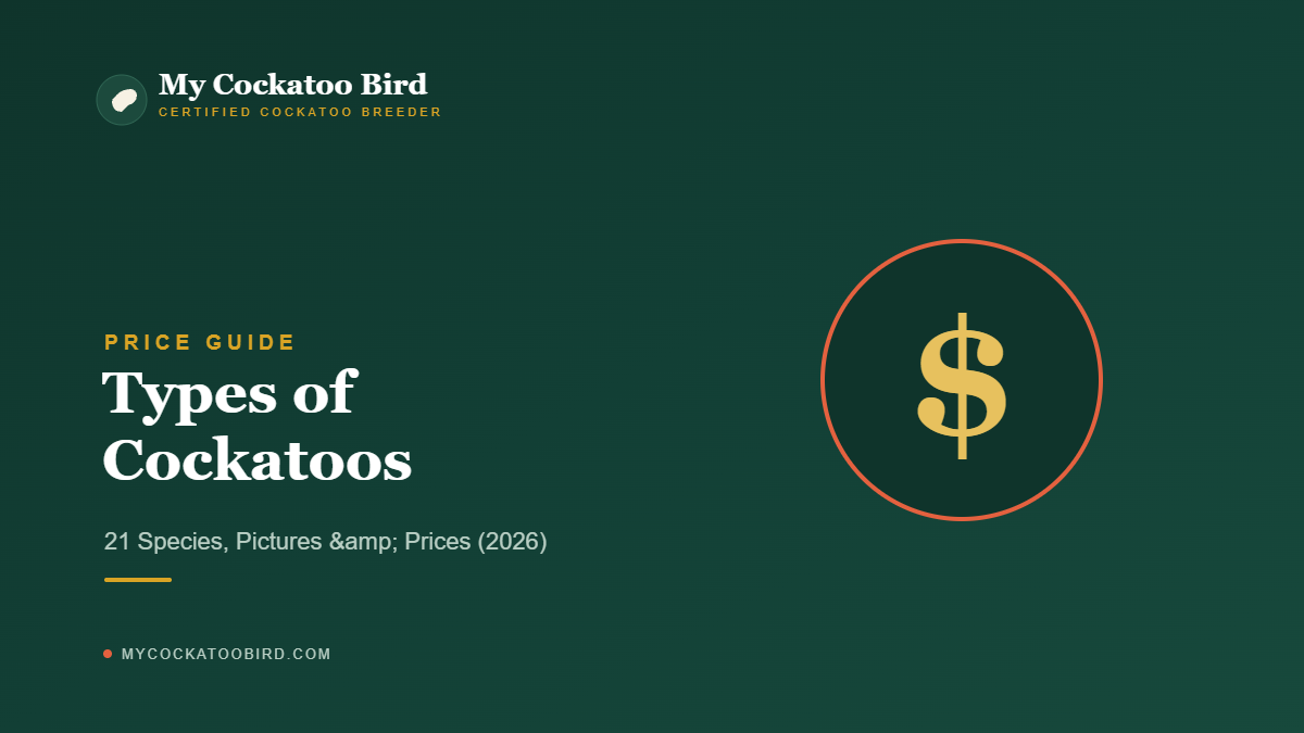 Types of Cockatoos: 21 Species, Pictures & Prices (2026) — My Cockatoo Bird