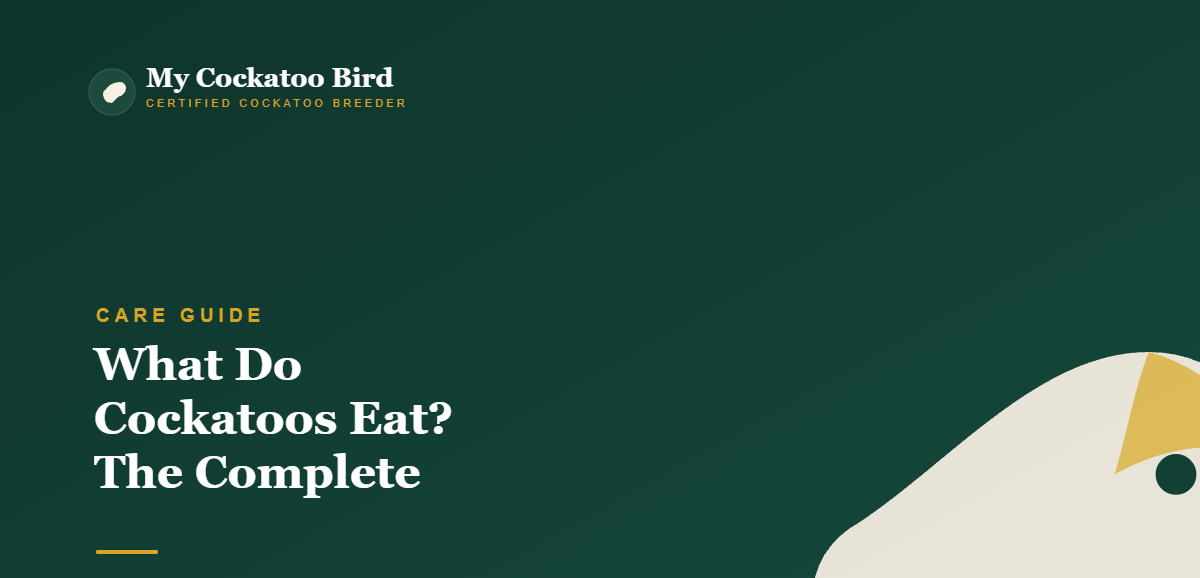 What Do Cockatoos Eat? The Complete Cockatoo Diet — My Cockatoo Bird